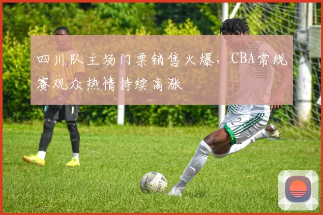四川队主场门票销售火爆,CBA常规赛观众热情持续高涨