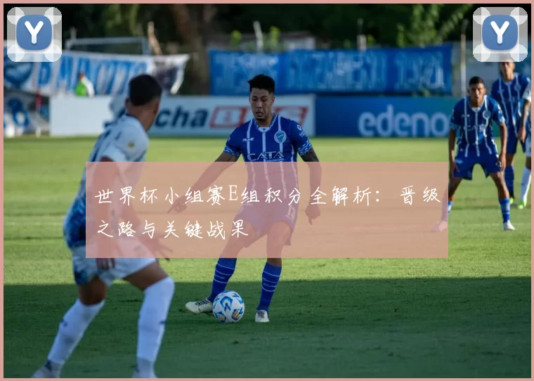 世界杯小组赛E组积分全解析:晋级之路与关键战果