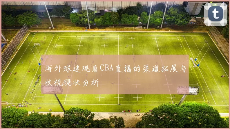 海外球迷观看CBA直播的渠道拓展与收视现状分析