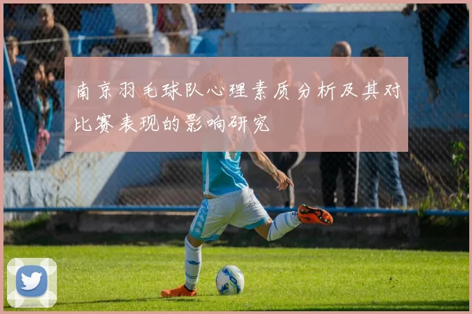 南京羽毛球队心理素质分析及其对比赛表现的影响研究