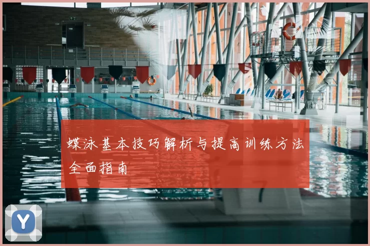 蝶泳基本技巧解析与提高训练方法全面指南