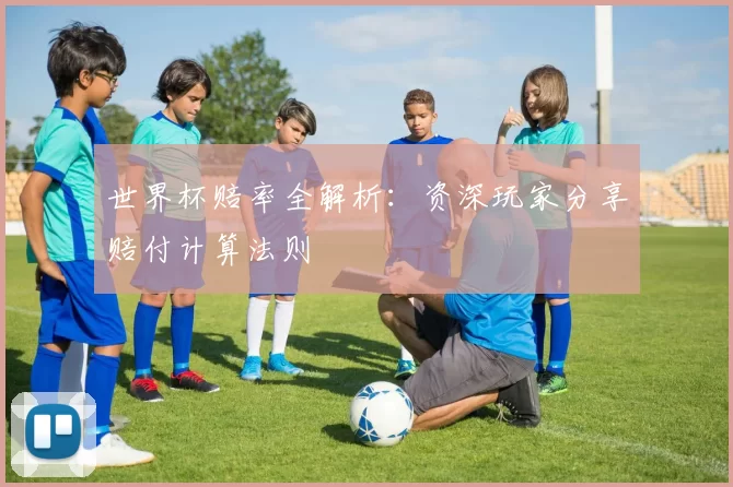 世界杯赔率全解析:资深玩家分享赔付计算法则