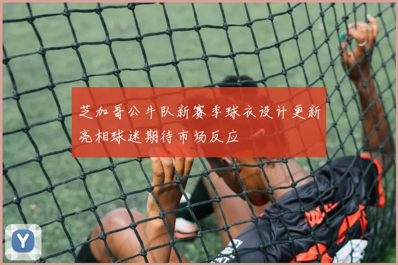 芝加哥公牛队新赛季球衣设计更新亮相球迷期待市场反应