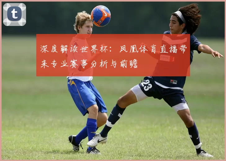 深度解读世界杯：凤凰体育直播带来专业赛事分析与前瞻