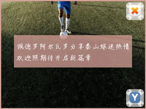 佩德罗阿尔瓦罗分享泰山球迷热情欢迎照期待开启新篇章