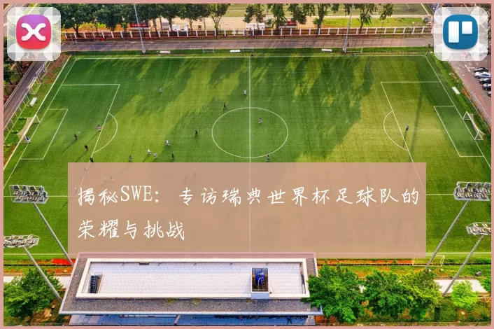 揭秘SWE：专访瑞典世界杯足球队的荣耀与挑战