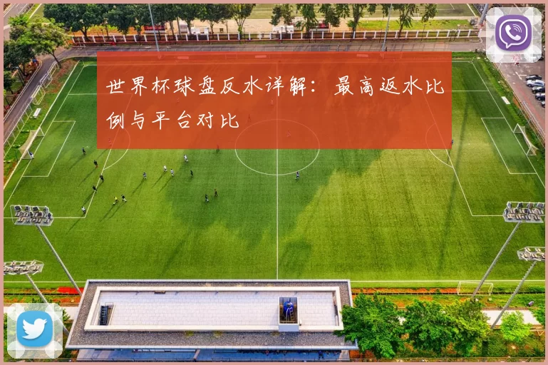 世界杯球盘反水详解:最高返水比例与平台对比