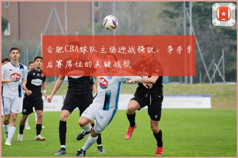 合肥CBA球队主场迎战强敌,争夺季后赛席位的关键战役