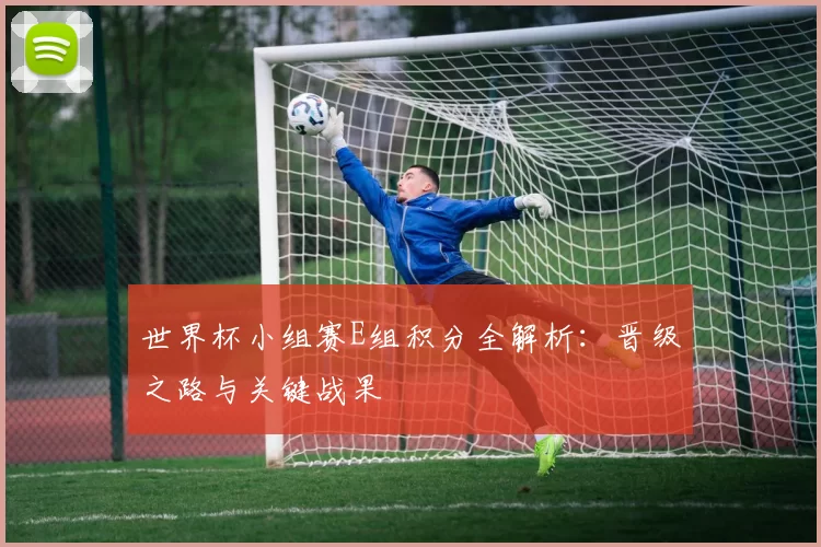 世界杯小组赛E组积分全解析:晋级之路与关键战果