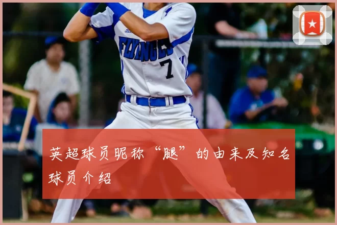 英超球员昵称“腿”的由来及知名球员介绍