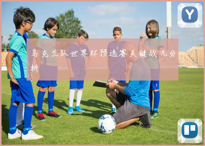 乌克兰队世界杯预选赛关键战况分析