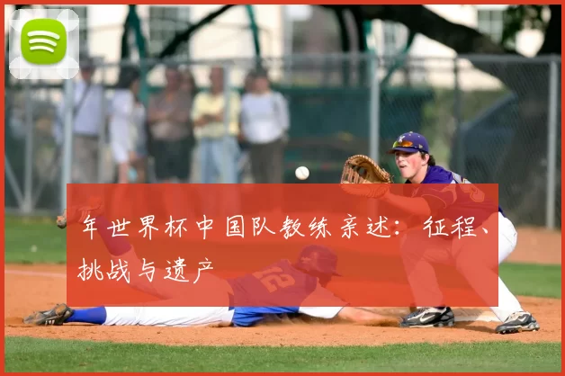 年世界杯中国队教练亲述：征程、挑战与遗产