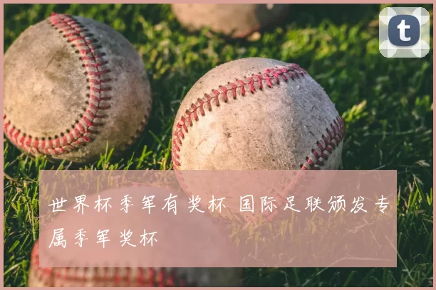 世界杯季军有奖杯 国际足联颁发专属季军奖杯