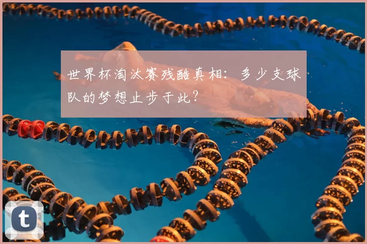 世界杯淘汰赛残酷真相:多少支球队的梦想止步于此?