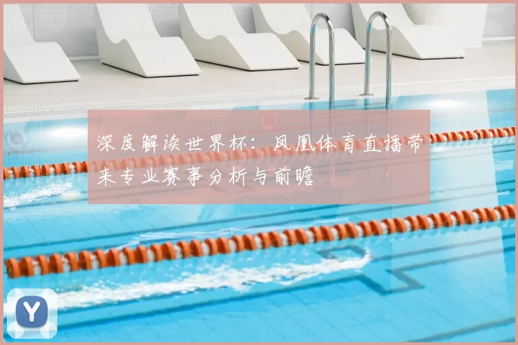 深度解读世界杯:凤凰体育直播带来专业赛事分析与前瞻