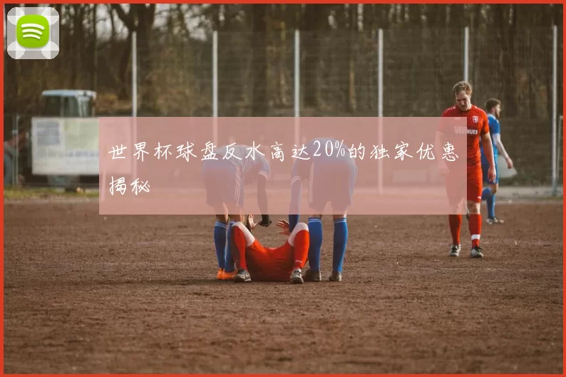世界杯球盘反水高达20%的独家优惠揭秘