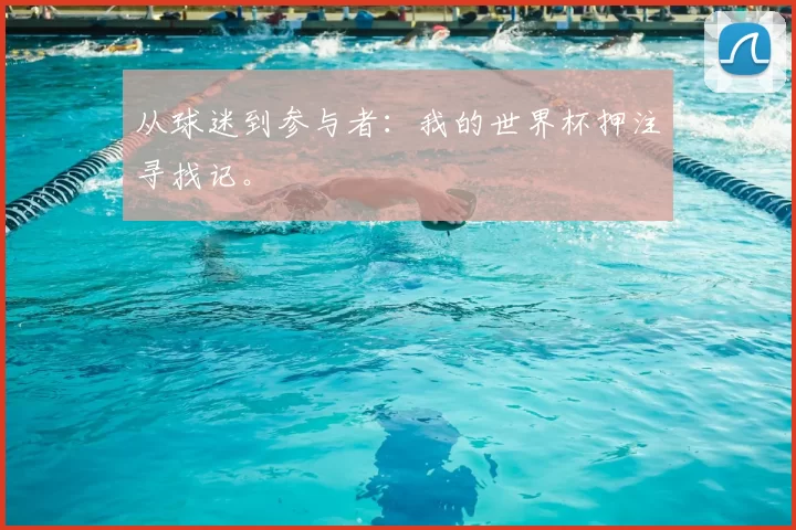 从球迷到参与者：我的世界杯押注寻找记。