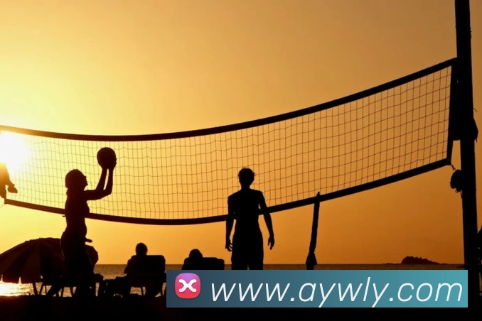 星空体育APP 封面图